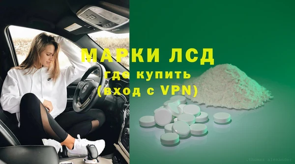 сатива Инта
