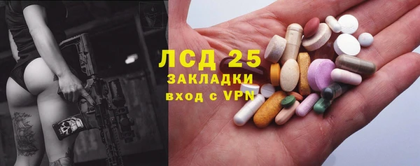 сатива Инта