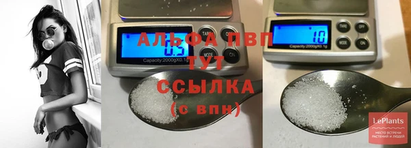 дмт Иннополис