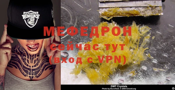 сатива Инта