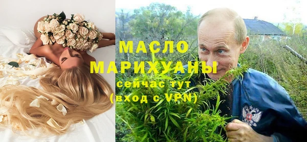 сатива Инта
