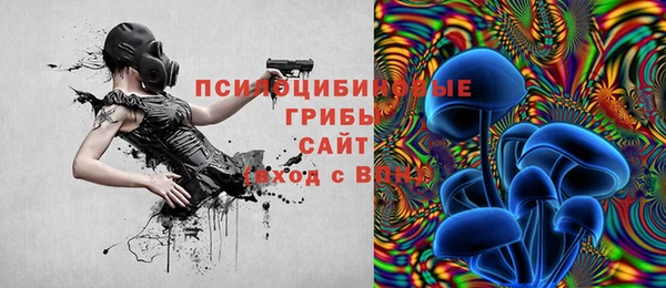 дмт Иннополис