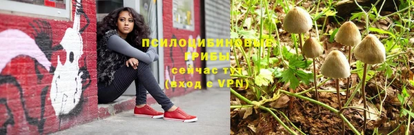 дмт Иннополис