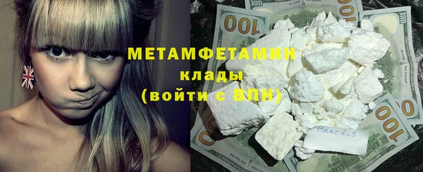 сатива Инта