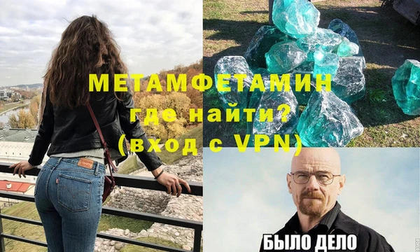сатива Инта