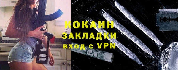 сатива Инта