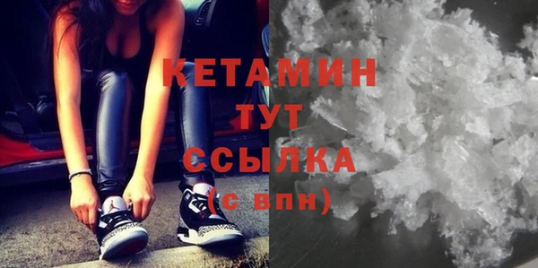 сатива Инта