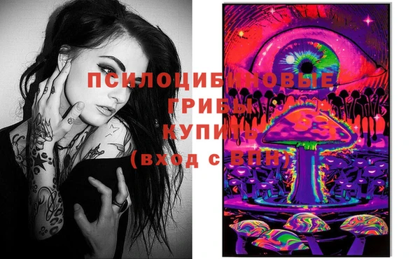 сатива Инта