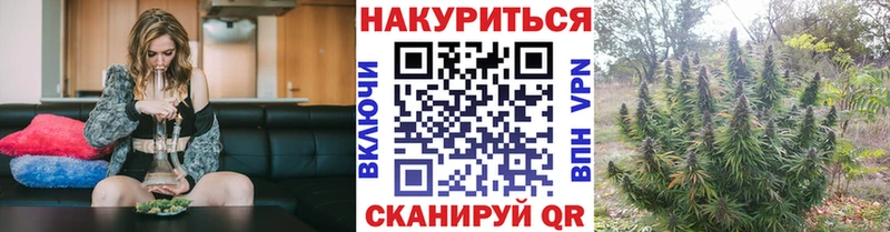 Бошки марихуана THC 21%  Купить где  Калязин 